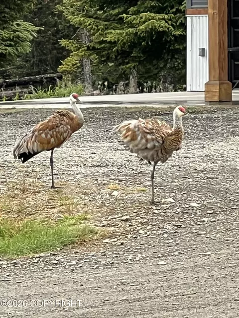 Other - 67579 Endless View Loop, Homer, AK 99603 photo 14 of 20