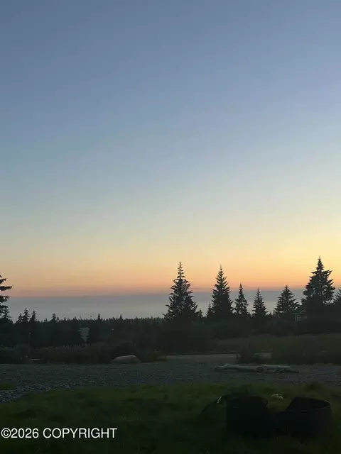 View/Area - 67579 Endless View Loop, Homer, AK 99603 photo 1 of 3
