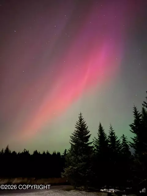 Other - 67579 Endless View Loop, Homer, AK 99603 photo 17 of 20