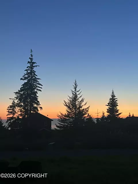 Other - 67579 Endless View Loop, Homer, AK 99603 photo 19 of 20