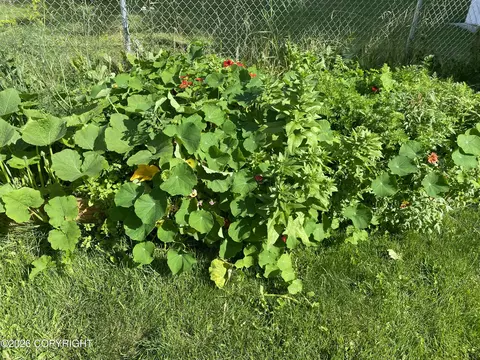 Other - 6530 E 9th Ave, Anchorage, AK 99504 photo 5 of 9