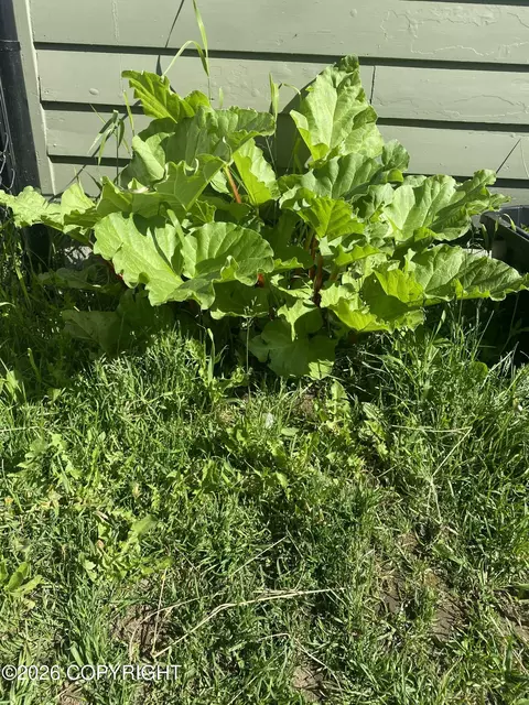 Other - 6530 E 9th Ave, Anchorage, AK 99504 photo 6 of 9
