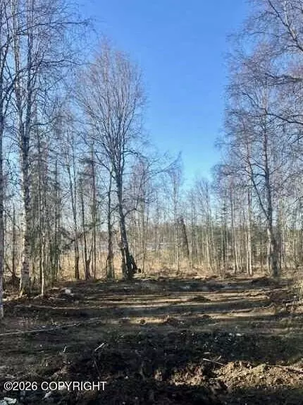 13026 Pettis Dr, Willow, AK 99688