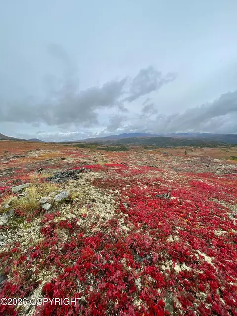 L4 Asls 80-176, Talkeetna, AK 99676