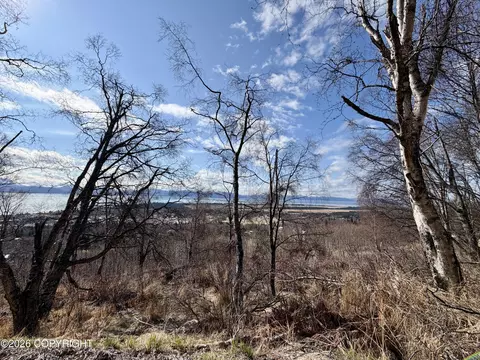 2740 Kestrel Ln, Homer, AK 99603