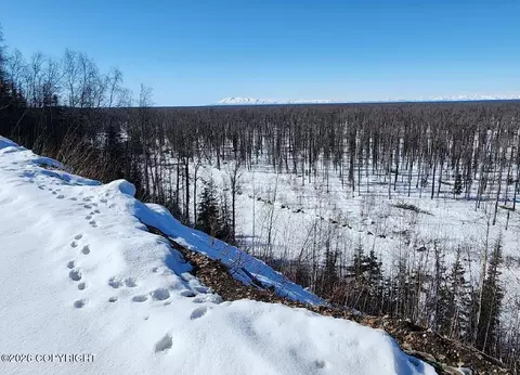 View/Area - 23002 N Gerald Cir, Willow, AK 99688 photo 3 of 3