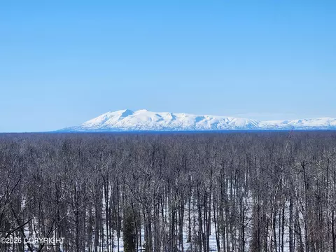 View/Area - 23002 N Gerald Cir, Willow, AK 99688 photo 2 of 3