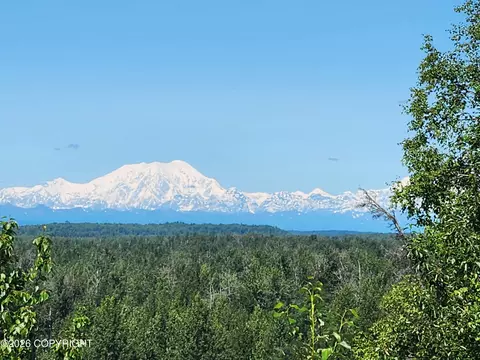 23002 N Gerald Cir, Willow, AK 99688