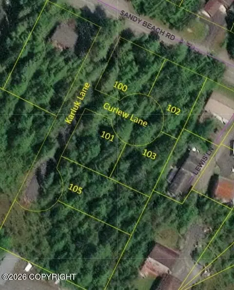 100 Curlew Ln, Petersburg, AK 99833