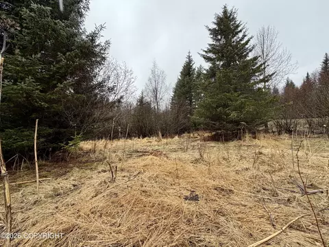 1611 End Rd, Homer, AK 99603 photo 4