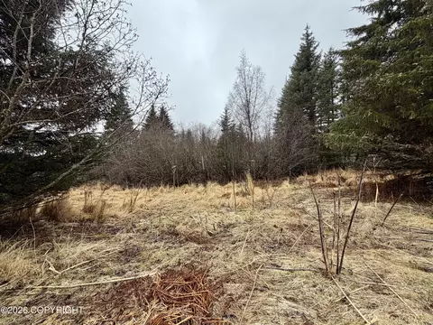 1611 End Rd, Homer, AK 99603 photo 3