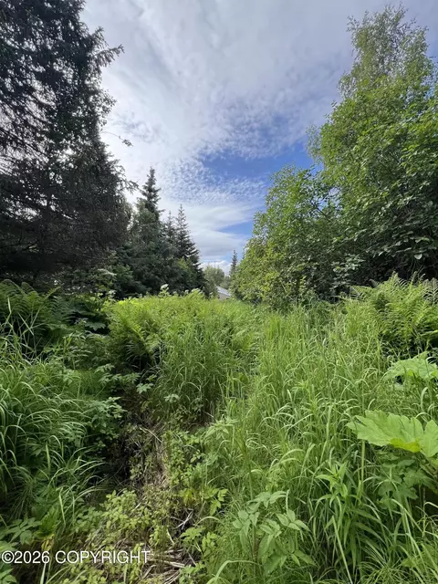 1611 End Rd, Homer, AK 99603 photo 2