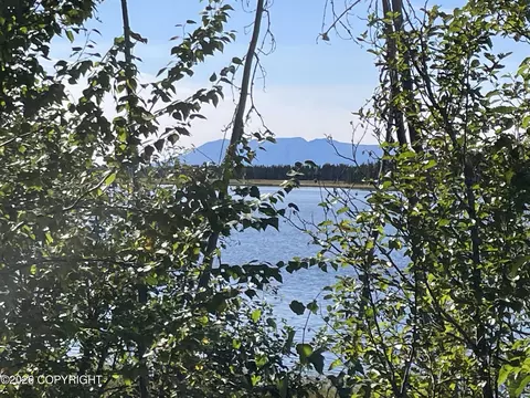 5280 S Horseshoe Lake Rd, Big Lake, AK 99652