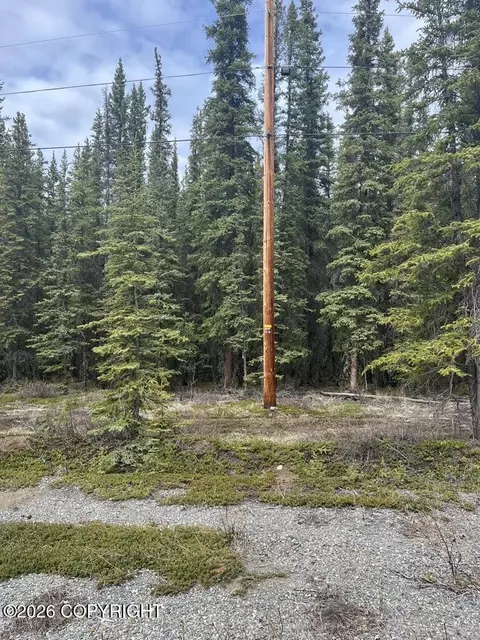 0 Tract L Block 5survey #77-16, Tok, AK 99780