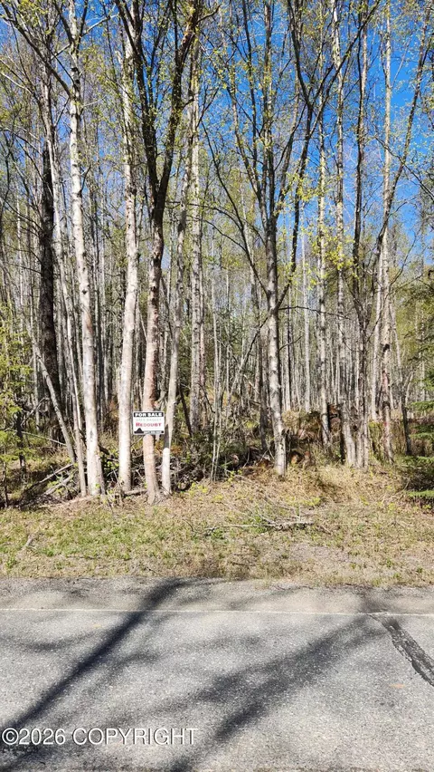 50329 Island Lake Rd, Nikiskinorth Kenai, AK 99635
