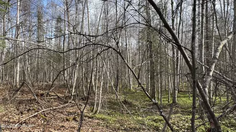 48601 S Bendapole Rd, Willow, AK 99688