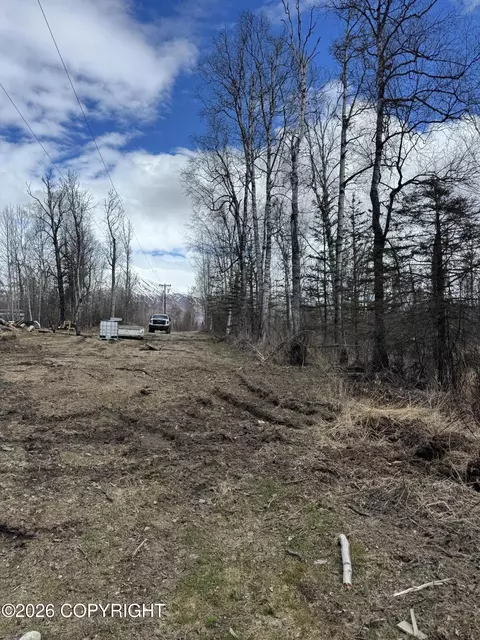 9351 N Pine Dr, Palmer, AK 99645