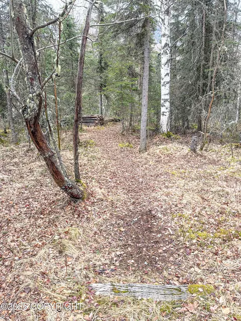 Other - 19036 Mountain Point Cir, Eagle River, AK 99577 photo 1 of 6