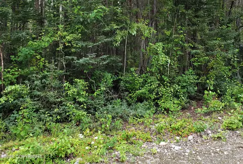 14037 E Mckinley Dr, Willow, AK 99688 photo 3