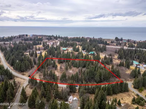 22501 Shegota Loop, Ninilchik, AK 99639
