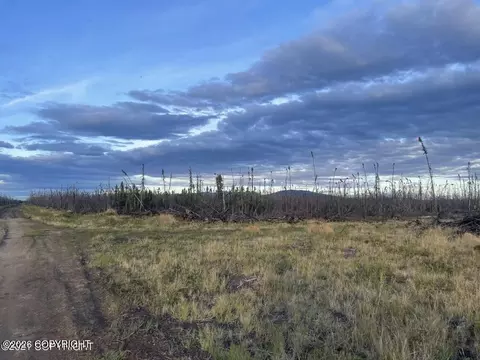 Nhn Lightning Avenue, Clear, AK 99743