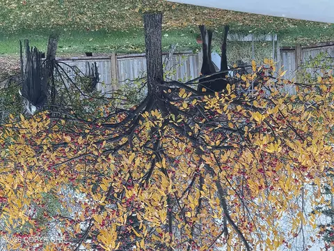 Exterior - 8861 E Lexington St, Palmer, AK 99645 photo 36 of 37