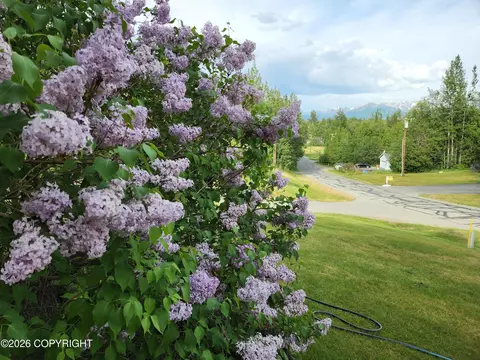 Other - 8861 E Lexington St, Palmer, AK 99645 photo 31 of 69