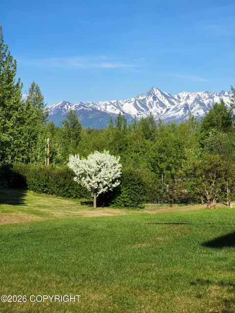 Exterior - 8861 E Lexington St, Palmer, AK 99645 photo 11 of 37