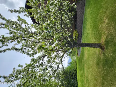 Exterior - 8861 E Lexington St, Palmer, AK 99645 photo 32 of 37