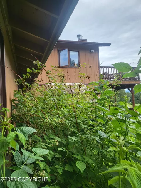Exterior - 8861 E Lexington St, Palmer, AK 99645 photo 34 of 37