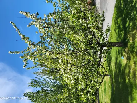 Other - 8861 E Lexington St, Palmer, AK 99645 photo 63 of 69