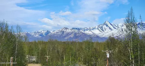 Other - 8861 E Lexington St, Palmer, AK 99645 photo 48 of 69