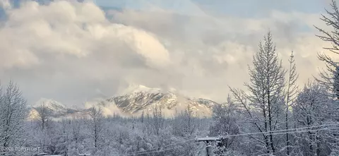 Other - 8861 E Lexington St, Palmer, AK 99645 photo 56 of 69