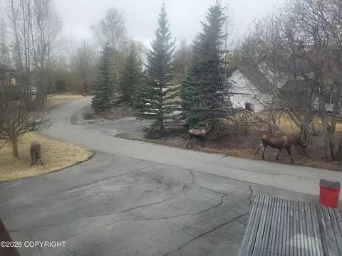 Exterior - 8861 E Lexington St, Palmer, AK 99645 photo 31 of 37