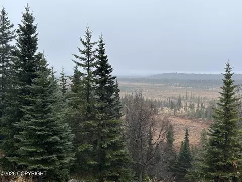Other - 67375 Berussa St, Ninilchik, AK 99639 photo 2 of 15