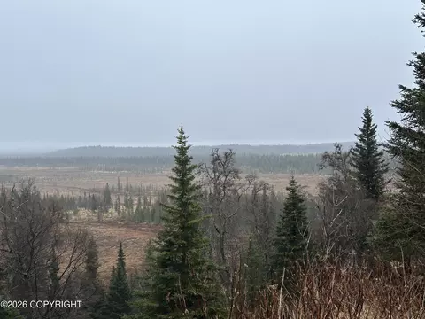 View/Area - 67375 Berussa St, Ninilchik, AK 99639 photo 1 of 1