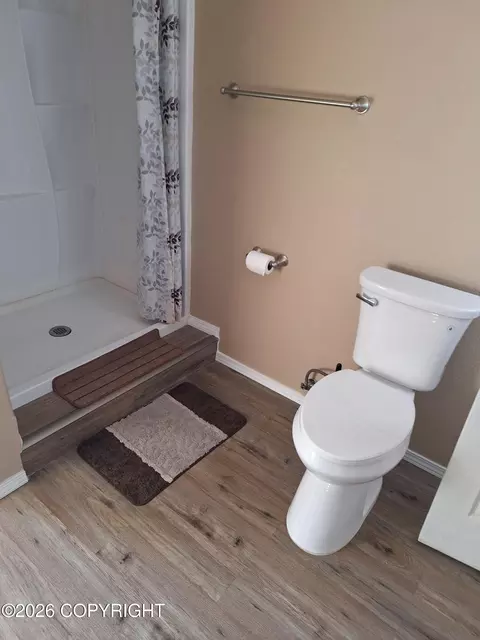 Bath - 67375 Berussa St, Ninilchik, AK 99639 photo 2 of 3