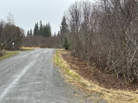 Other - 67375 Berussa St, Ninilchik, AK 99639 photo 5 of 15