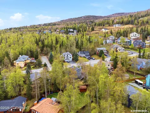 View/Area - 11027 Kaskanak Dr, Eagle River, AK 99577 photo 3 of 6