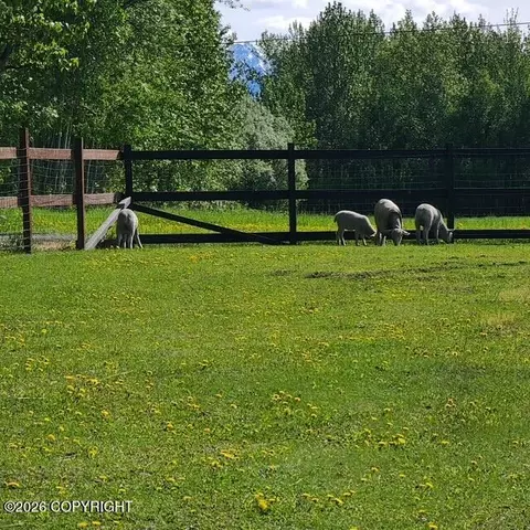 Other - 2051 E Fairview Loop, Wasilla, AK 99654 photo 2 of 23