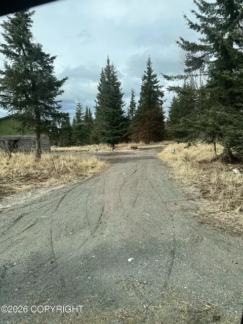 31905 Kostino Rd, Anchor Point, AK 99556