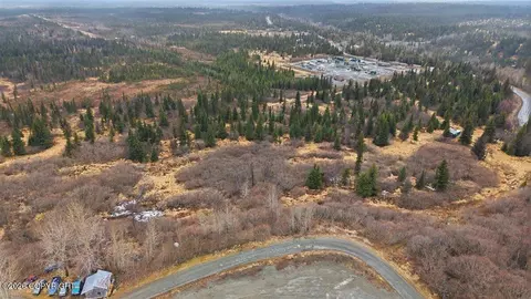 65251 Wagon Rd, Anchor Point, AK 99556