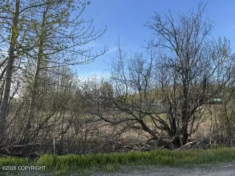 15221 E Nina Rd, Palmer, AK 99645
