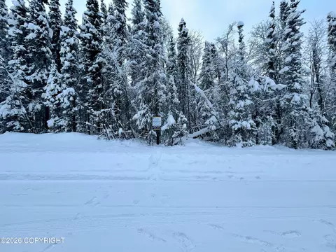 L 140 E Wilderness Rim Road, Willow, AK 99688