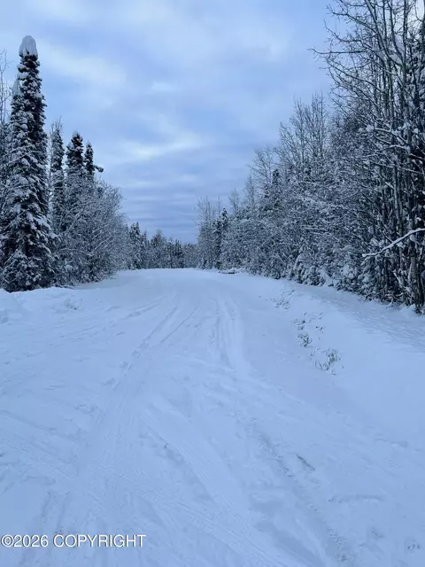 L48 S Otter Drive, Willow, AK 99688