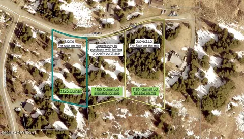 1185 Quinalt Ave, Homer, AK 99603