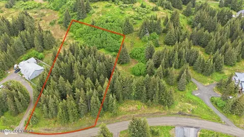 1185 Quinalt Ave, Homer, AK 99603