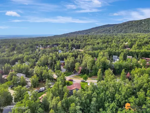 View/Area - 19624 S Montague Loop, Eagle River, AK 99577 photo 10 of 13