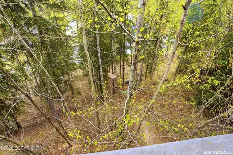 Other - 20646 Icefall Dr, Eagle River, AK 99577 photo 17 of 18
