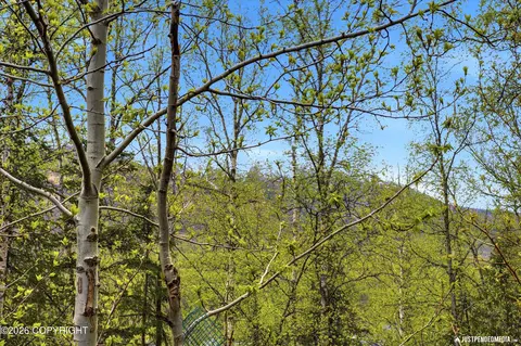 Other - 20646 Icefall Dr, Eagle River, AK 99577 photo 18 of 18